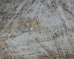 Sawing traces on an ivory plate. Well III, Palaepaphos/Evreti (Cyprus).